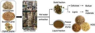 Production and Characterization of High Value Prebiotics From Biorefinery-Relevant Feedstocks